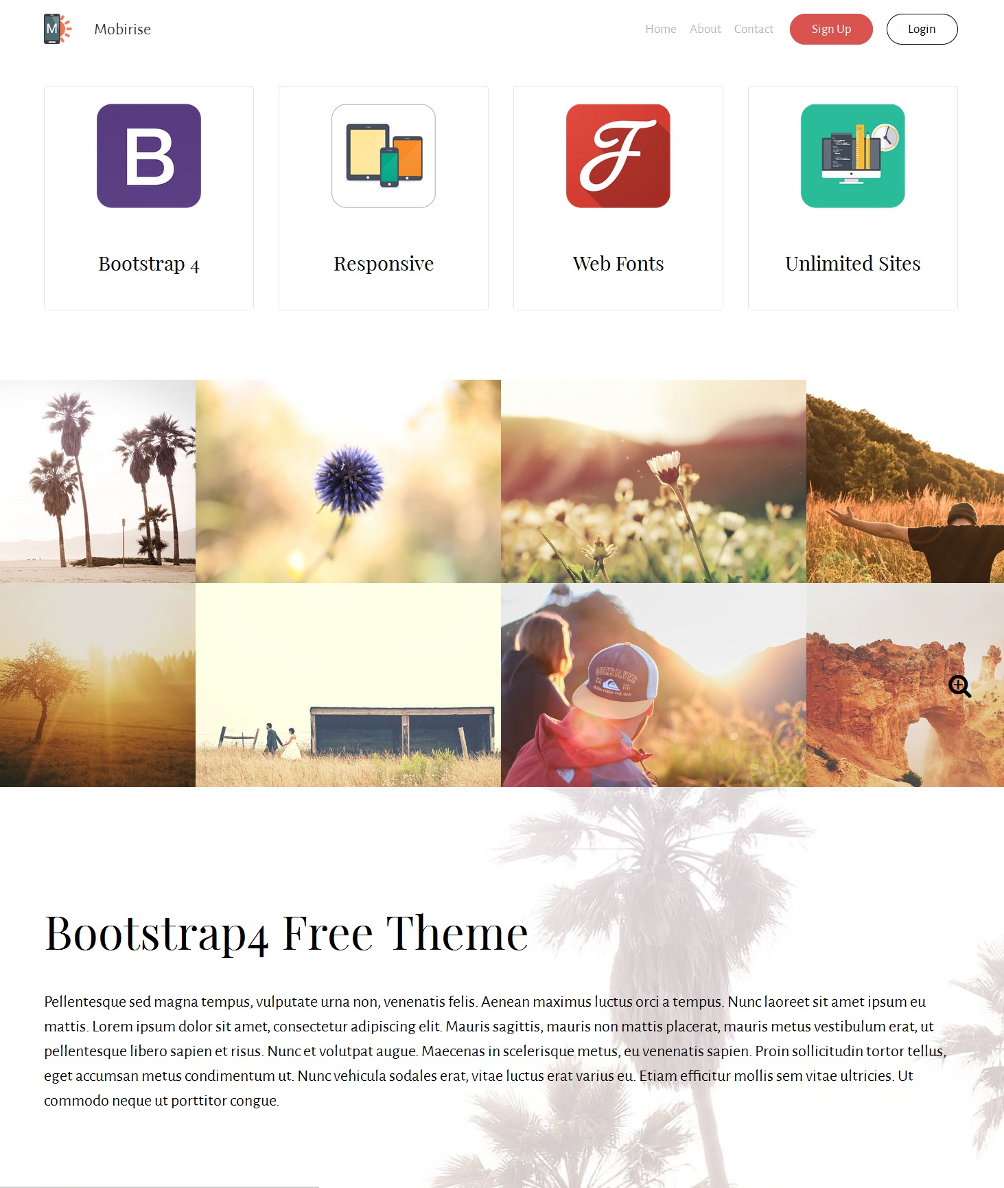 CSS3 Bootstrap App Theme