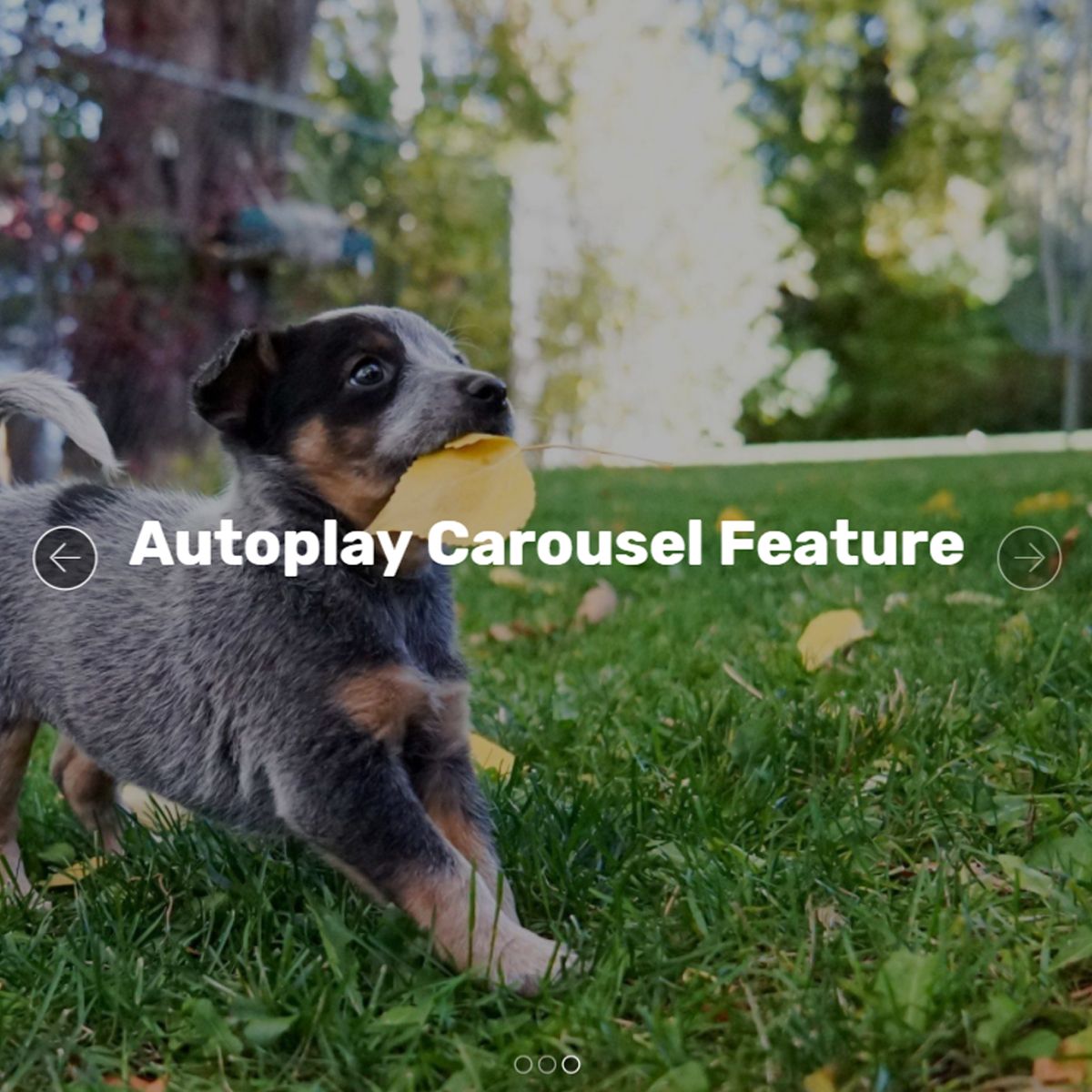 jQuery Bootstrap Picture Carousel